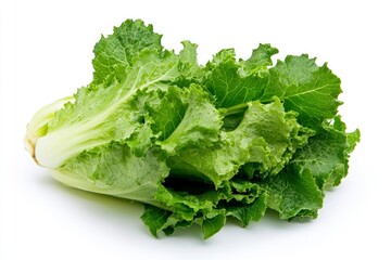 Fresh Green Mustard Greens on White Background for Healthy Eating