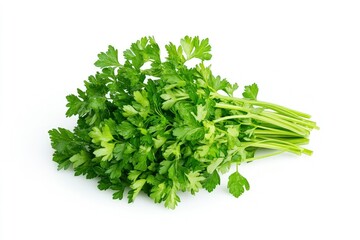 Fototapeta premium Fresh Parsley Bunch on White Background for Cooking and Garnish