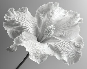 Monochromatic Hibiscus: A Study in Grayscale Elegance