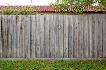 A weathered wooden privacy fence with vertical panels forms a boundary in a residential...