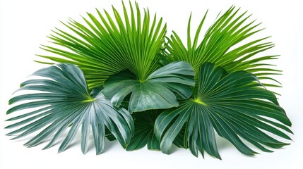 Lush arrangement of tropical green leaves showcasing vibrant textures and shapes in a bright, minimalist setting