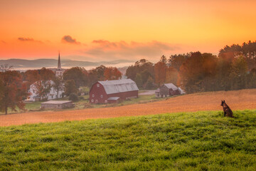 Morning breaks over Peacham, Vermont with a dog admiring the vibrant sky