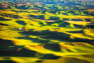 Warm light on the rolling hills of the Palouse