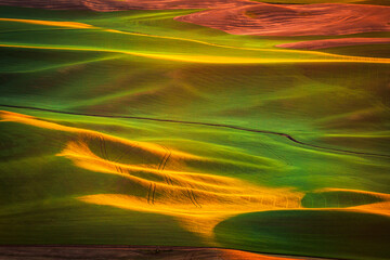 Warm light on the rolling hills of the Palouse