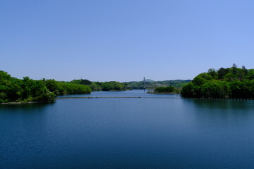 Early Summer Landscape with Fresh Greenery and Lake