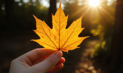 hand holding vibrant yellow maple leaf against glowing sunset background, evoking sense of autumn beauty and tranquility