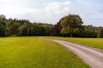 A road runs through a grassy field with trees in the background