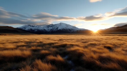 Obraz premium Golden meadow bathed in sunset light, snow-capped mountains. Vast expanse of tall grass under a vibrant sky