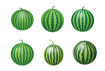 Full-size Watermelons illustration on a white background
