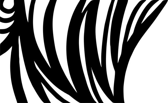 zebra pattern. vector Animals background