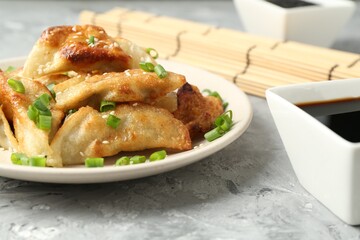 Tasty fried gyoza (dumplings) and soy sauce on light grey table, closeup