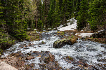 Tyndal Creek flowing strong from snow melt in the spring.