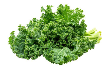 Fresh Green Lettuce With Vibrant Light Color Represents Crisp and Healthy Salad Ingredient