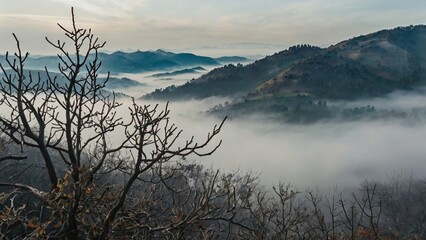 the feel of cold mountains covered in wisps of mist.
