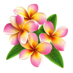 Obraz premium Tropical tree with spreading canopy and green foliage, photorealistic detail, transparent background