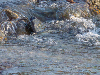 春の川　水の流れアップ08