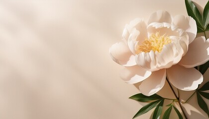 Fototapeta premium 薄いベージュの和紙テクスチャの上に、一輪の芍薬（ピオニー）が静かに配置され、柔らかな光と陰影が5月の清楚な美しさを際立たせる背景。穏やかで優雅な空間が広がるデザインです。