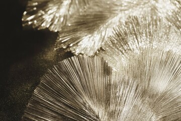 Obraz premium Close-up view of shimmering golden fan-shaped decorations, showcasing intricate textures and patterns against a dark background, ideal for artistic or design projects