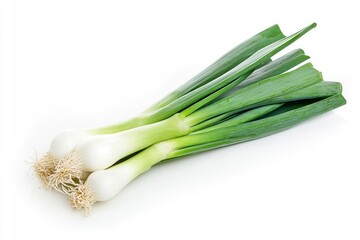Fresh Green Onions or Scallions Isolated on White Background Close-up
