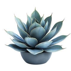 Large Blue Agave Plant with Wide Leaves Isolated on Transparent Background