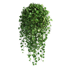 3D Hanging Garden with Lush Green Ivy Isolated on Transparent Background