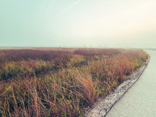 road to the sea