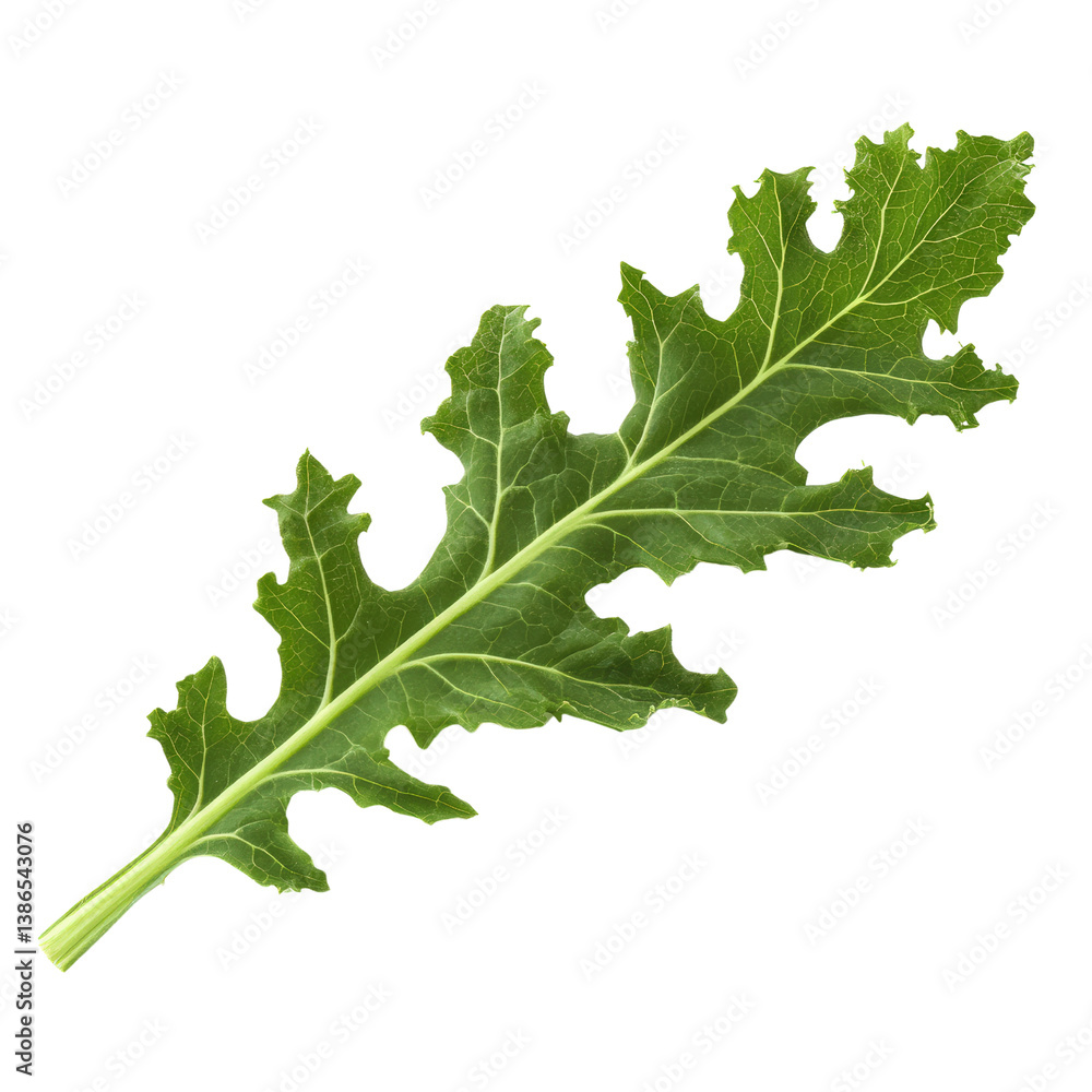 Poster close-up of a leaf highlighting its lush green color and unique texture in a beautiful natural outdo