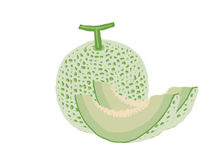 丸いメロンとカットしたメロンのイラスト