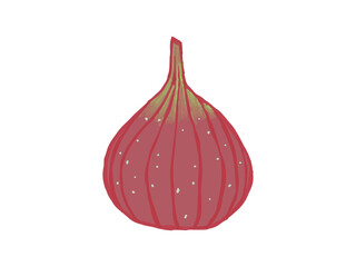 イチジクのイラスト