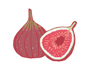 イチジクのイラスト