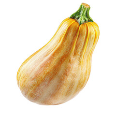 Fresh yellow squash with smooth skin and vibrant color ideal for healthy dishes or grilled delights isolated on transparent background..
