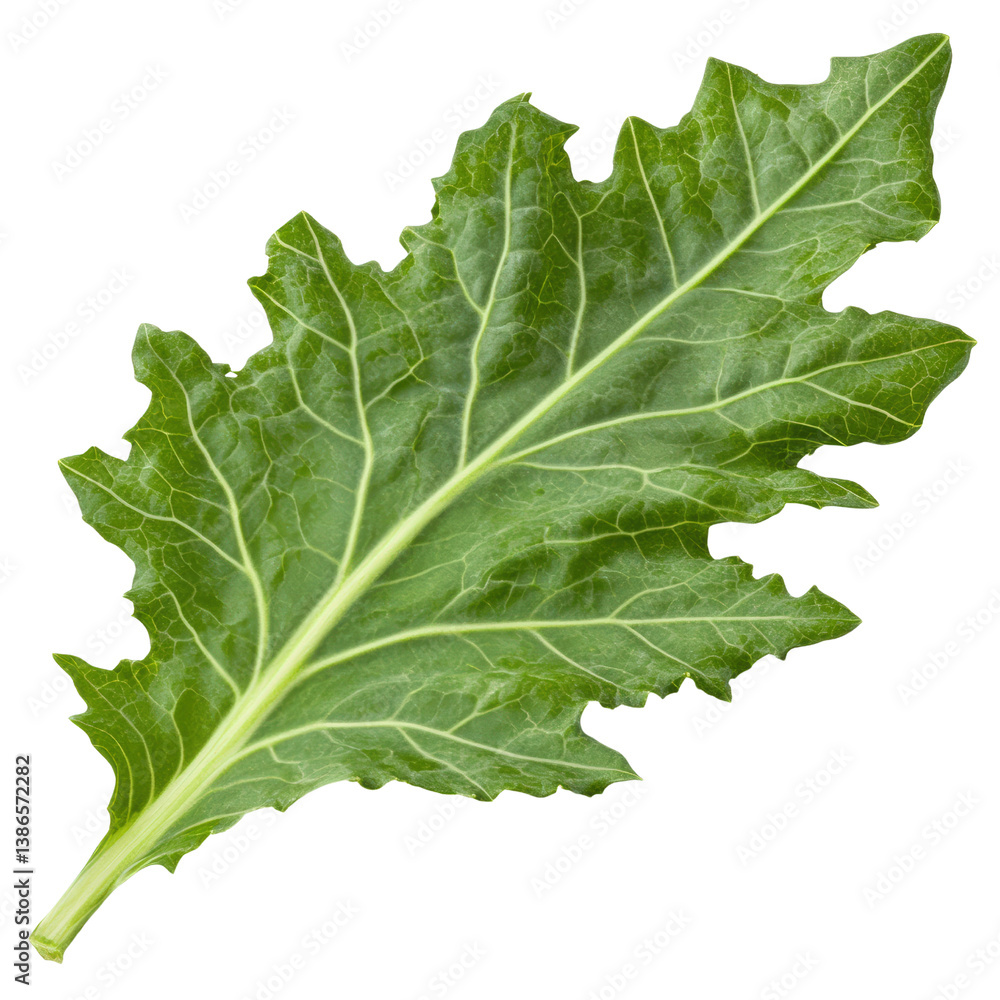 Poster a single leaf with a rich green color resting on a smooth surface symbolizing nature and environment