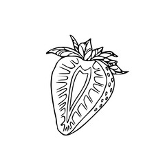 strawberry slice outline vector
