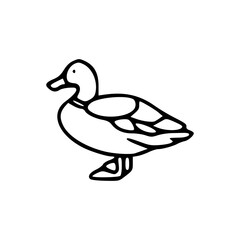 Obraz premium doodle drawing of duck