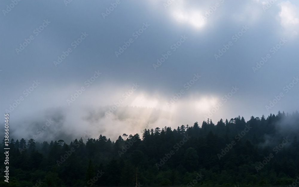 Poster sun rays pierce through thick clouds over a dense forest. fog hangs low, creating a mysterious and a