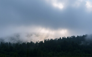 Obraz premium Sun rays pierce through thick clouds over a dense forest. Fog hangs low, creating a mysterious and atmospheric landscape in nature.