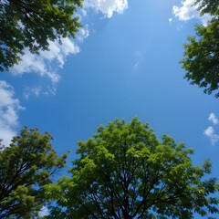 Fototapeta premium Clear Sky
