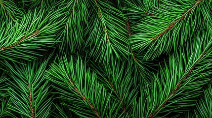 Lush green fir branches with needle details densely spread create a textured, natural pattern