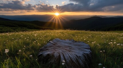 Sunset over mountain meadow with tree stump