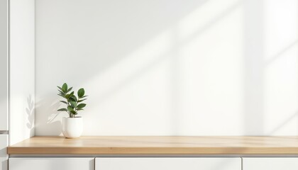 Minimalist Interior with Plant and Sunlight