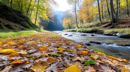 Fototapeta premium A tranquil autumn scene features a river flowing through a leaf-covered path. Golden and brown leaves blanket the ground. Trees with vibrant autumn foliage line the riverbanks. The image boasts high