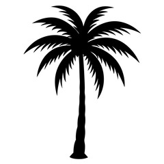 Obraz premium Palm tree silhouette vector isolated on white background