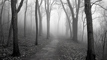 Naklejka premium Foggy forest path with bare trees in black and white.