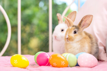 Bunny easter fluffy rabbit eating food, vegetables, carrots, baby corn on green garden nature flowers background on sunny day, Lovely mammal with bright eyes in nature life. Symbol of easter day.
