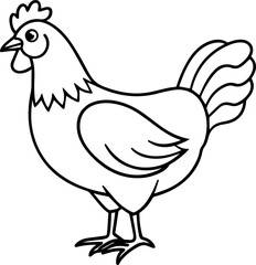 chicken outline vector illustration line art