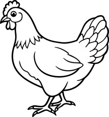 chicken outline vector illustration line art