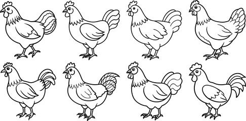 Set of chicken outline vector illustration line art