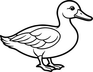 vector illustration of a duck