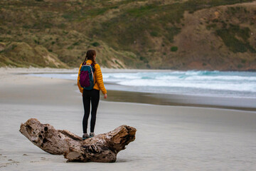 Girl standing on a driftwood log, admiring the stunning view over Sandfly Bay with Hooker's sea...