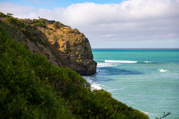 Golden-sand beach backed by steep cliffs and coastal vegetation with marine wildlife sightings, located in Bushy Beach Scenic Reserve, Oamaru, Otago, South Island, New Zealand